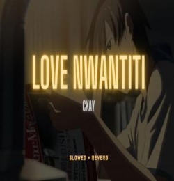 Love Nwantiti Lofi Mix (Slowed and Reverb)
