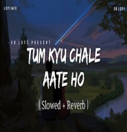 Kyu Tum Chale Aate Ho (Lofi)