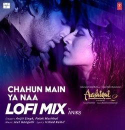 Chahun Main Ya Naa Lofi Mix