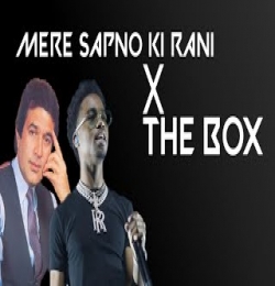 Mere Sapno Ki Rani X The Box Mashup