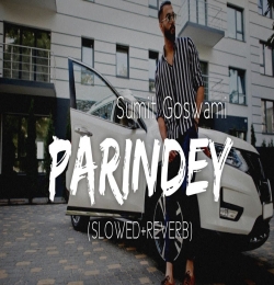 Parindey (Slowed Reverb) Lofi Mix