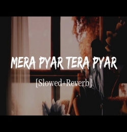 Mera Pyar Tera Pyar (Slowed Reverb) Lofi Mix
