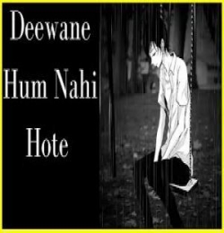 Deewane Hum Nahi Hote Lofi Slowed and Reverb