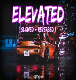 Elevated (Slowed Reverb) Lofi Mix