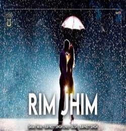 Rim Jhim - Instrumental - Music - Bgm Ringtone