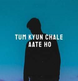 Tum Kyu Chale Aate Ho