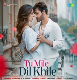 Tum Mile Dil Khile