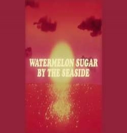 Watermelon Sugar - Seaside SEB