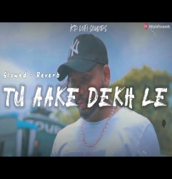 Tu Aake Dekh Le (Slowed Reverb lofi)