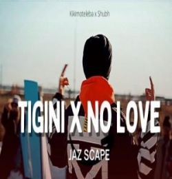Tigini x No Love