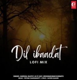 Dil Ibaadat Lofi Mix (Slowed and Reverb)
