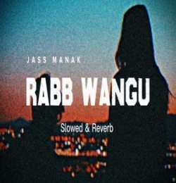 Rabb Wangu (Slowed Reverb) Lofi Mix