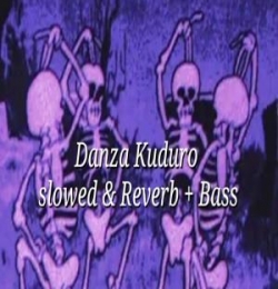 Danza Kuduro (Slowed Reverb)