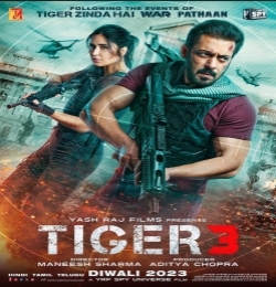 Tiger 3 Title Track