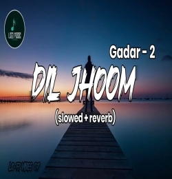 Dil Jhoom (Slowed & Reverb) Lofi Mix