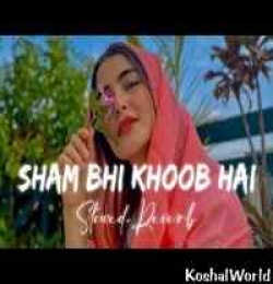 Shaam Bhi Khoob Hai lofi (Slowed Reverb) Lofi Mix