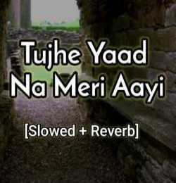 Tujhe Yaad Na Meri Ayee 2 (Slowed Reverb)