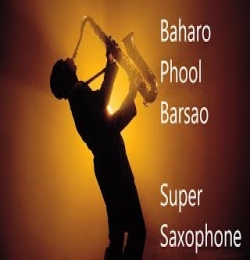 Baharo Phool Barsao (Instrumental)
