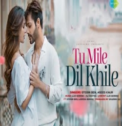 Tum Mile Dil Khile (New Version)