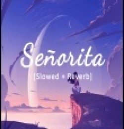 Senorita (Slowed And Reverb)