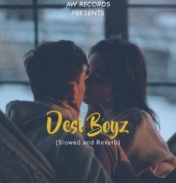 Desi Boyz (Slowed and Reverb)