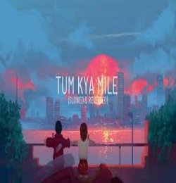 Tum Kya Mile (Lofi)