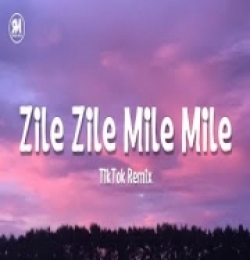 Zile Zile Mile Mile (TikTok Remix)