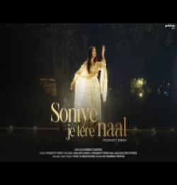 Soniye Je Tere Naal