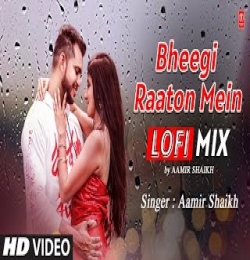 Bheegi Raaton Mein - LoFi