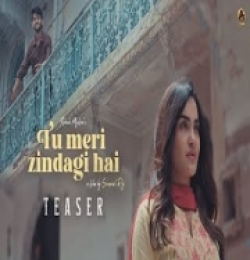 Tu Meri Zindagi Hai