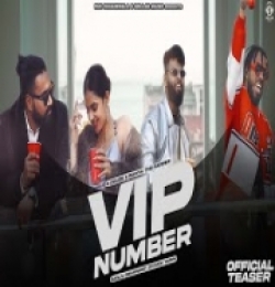 VIP Number