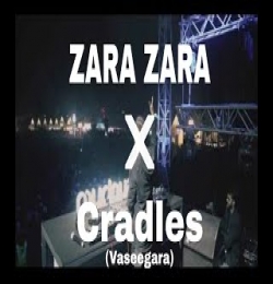Zara Zara X Cradles Vaseegara