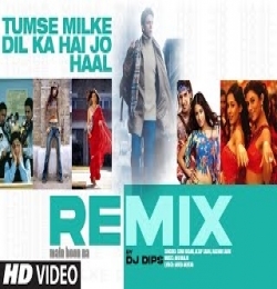 Tumse Milke Dil Ka Hai Jo Haal (Remix)