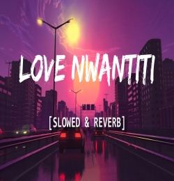 Love Nwantiti Lofi Mix (Slowed and Reverb)
