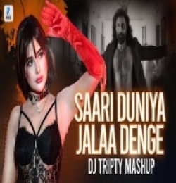 Saari Duniya Jalaa Denge (Mashup) DJ Tripty