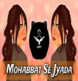 Mohabbat Se Zyada (Remix)