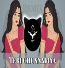 Teri Chunnariya Dil Le Gayi (Remix)