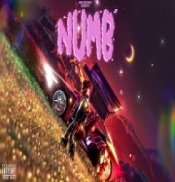 NUMB