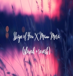 Shape of You X Mann Mera (Lofi Mashup) - Slowed and Reverb