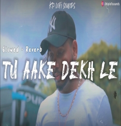 Tu Aake Dekhle - Slowed and Reverb