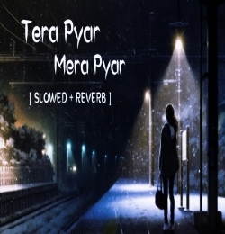 Mera Pyar Tera Pyar Lofi (Slowed Reverb)