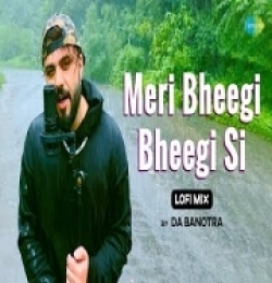 Meri Bheegi Bheegi (LoFi Chill Mix)