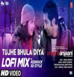 Tujhe Bhula Diya (LoFi Mix)