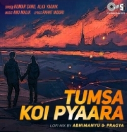 Tumsa Koi Pyaara (Lofi Mix) - Kumar Sanu, Alka Yagnik