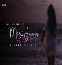Meri Jaan - Lofi (Slowed-Reverb) Neeti Mohan