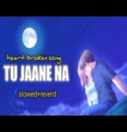 Tu Jaane Na (Slowed-Reverb) Chillout Lofi Mix