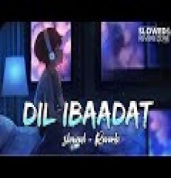 Dil Ibadat Lofi Mix