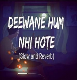Deewane Hum Nahi Hote Deewani Raat Aati Hai Slowed Reverb Lofi Mix