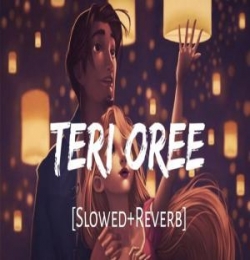 Teri Ore (Slowed n Reverb) Lofi Mix
