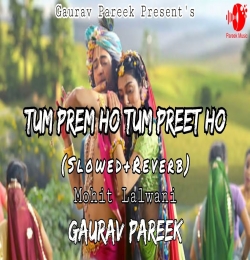 Tum Prem Ho Tum Preet Ho (Radha Krishna) Slowed Reverb